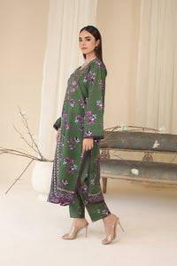 3 PIECE - EMBROIDERED KHADDAR