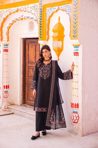Zaib-08