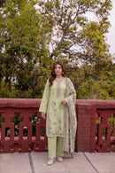 Zaib-05