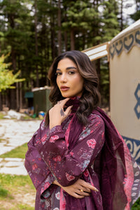 Naaze Gul-05