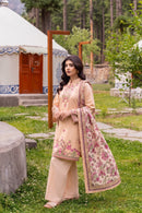 Zarish-04
