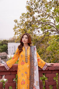 Gulkari-02