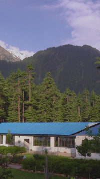 Gulzeb-01
